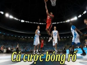 Tìm Hiểu Cá Cược Bóng Rổ Xin88 Hấp Dẫn Cho Người Chơi Mới