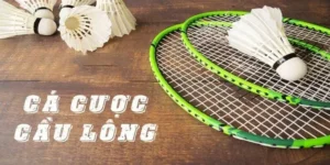 Cách Chơi Cá Cược Cầu Lông Tại Xin88 Dễ Thắng Nhất