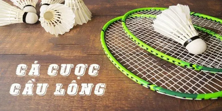 Cách Chơi Cá Cược Cầu Lông Tại Xin88 Dễ Thắng Nhất