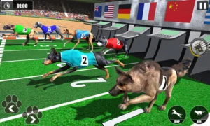 Cách Chơi Game Nhanh Đua Chó Tại Xin88 Thắng Lớn Dễ Dàng