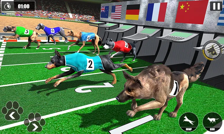 Cách Chơi Game Nhanh Đua Chó Tại Xin88 Thắng Lớn Dễ Dàng