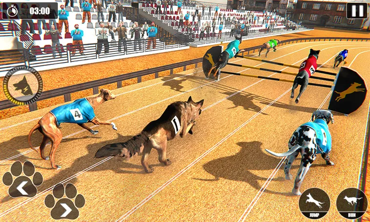 Cách Chơi Game Nhanh Đua Chó Tại Xin88 Thắng Lớn Dễ Dàng