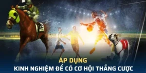 Tìm Hiểu Cá Cược Thể Thao Ảo Xin88 Hấp Dẫn Và Dễ Thắng Lớn